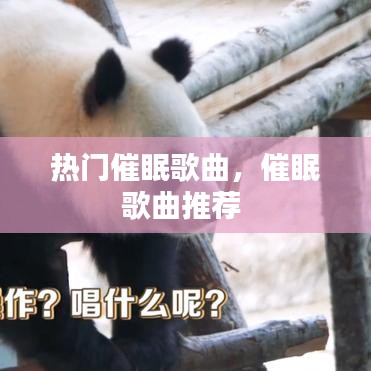 热门催眠歌曲，催眠歌曲推荐 