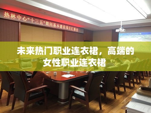 未来热门职业连衣裙，高端的女性职业连衣裙 