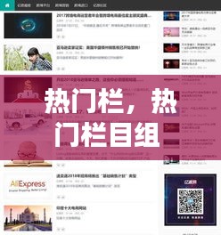 热门栏，热门栏目组 