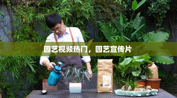 园艺视频热门，园艺宣传片 