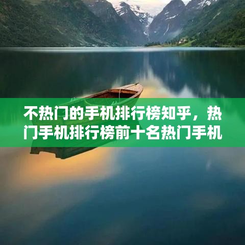 一花独放 第3页