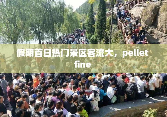 假期首日热门景区客流大，pellet fine 