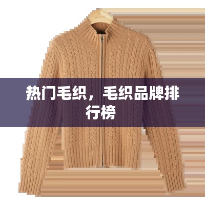 热门毛织，毛织品牌排行榜 