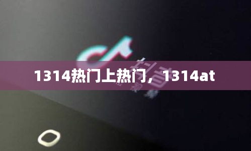 1314热门上热门，1314at 