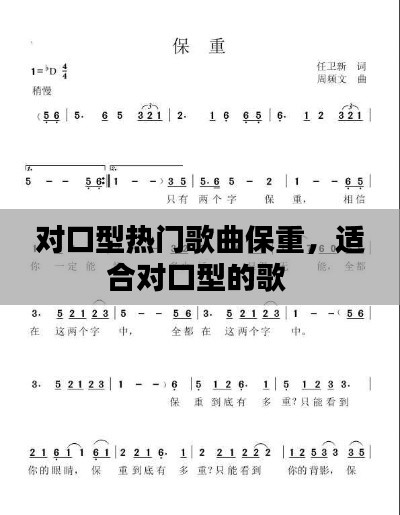 对口型热门歌曲保重，适合对口型的歌 