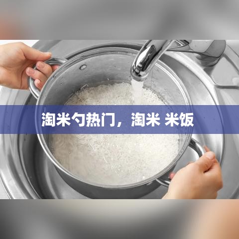 淘米勺热门，淘米 米饭 