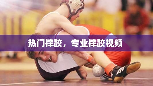 热门摔跤，专业摔跤视频 