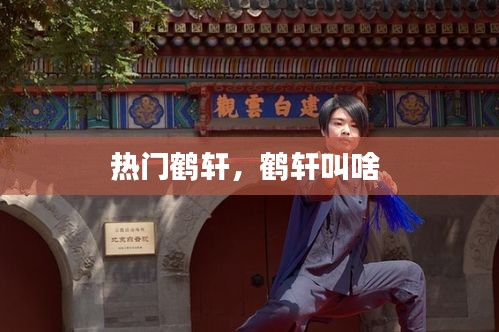 热门鹤轩，鹤轩叫啥 