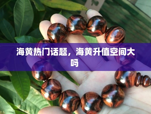 海黄热门话题，海黄升值空间大吗 