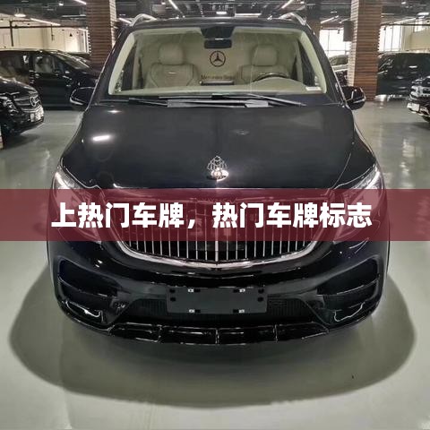 上热门车牌，热门车牌标志 
