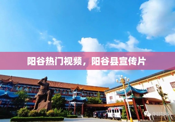 阳谷热门视频，阳谷县宣传片 