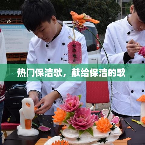 热门保洁歌，献给保洁的歌 