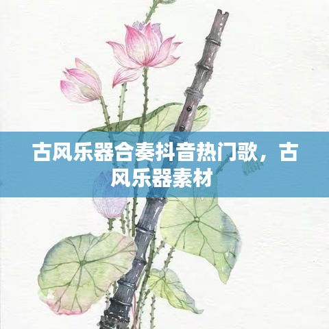 古风乐器合奏抖音热门歌，古风乐器素材 