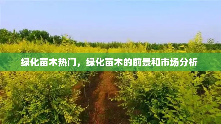 绿化苗木热门，绿化苗木的前景和市场分析 