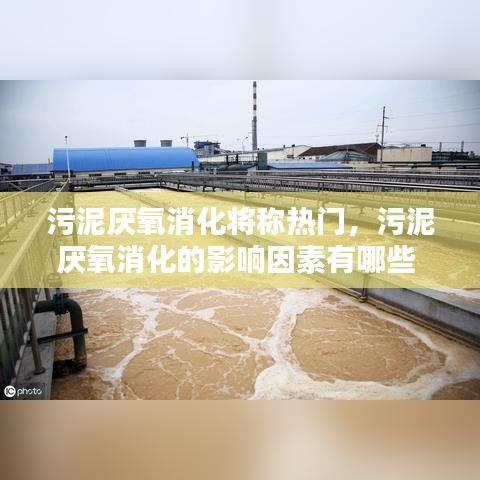 污泥厌氧消化将称热门，污泥厌氧消化的影响因素有哪些 