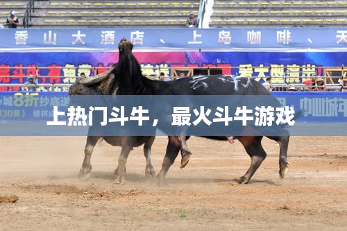 上热门斗牛，最火斗牛游戏 