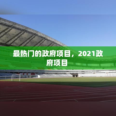 最热门的政府项目，2021政府项目 