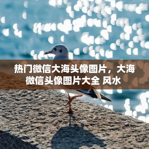 热门微信大海头像图片，大海微信头像图片大全 风水 