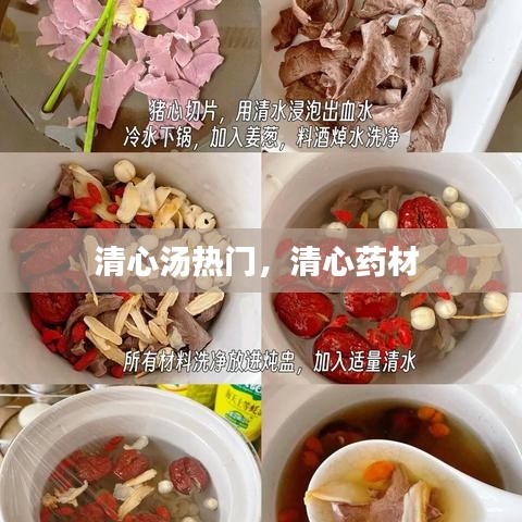 质而不俚 第3页