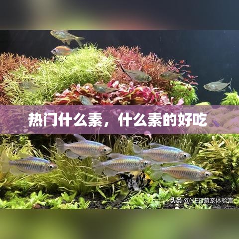革新变旧 第3页