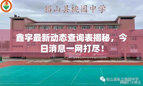 鑫宇最新动态查询表揭秘，今日消息一网打尽！