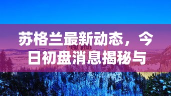 苏格兰最新动态，今日初盘消息揭秘与犯罪问题深度探讨