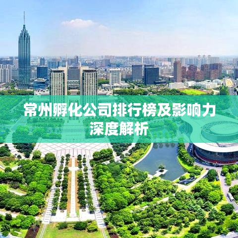 常州孵化公司排行榜及影响力深度解析