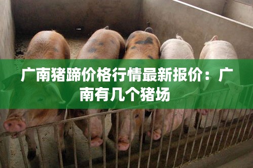 广南猪蹄价格行情最新报价：广南有几个猪场 