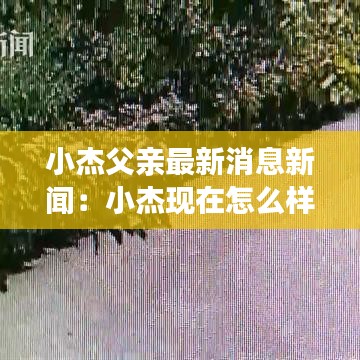 小杰父亲最新消息新闻：小杰现在怎么样了 