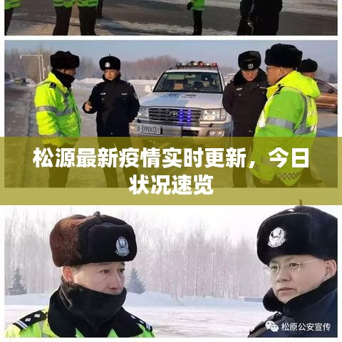 松源最新疫情实时更新，今日状况速览