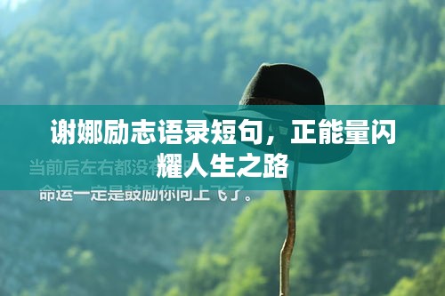 谢娜励志语录短句，正能量闪耀人生之路