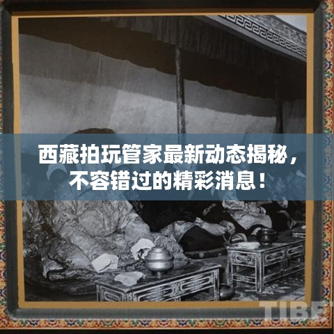 西藏拍玩管家最新动态揭秘，不容错过的精彩消息！