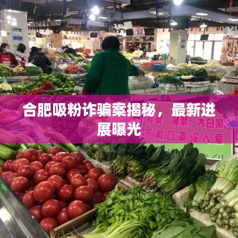 合肥吸粉诈骗案揭秘，最新进展曝光