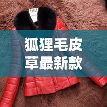 狐狸毛皮草最新款老人真毛：狐狸毛皮草介绍 