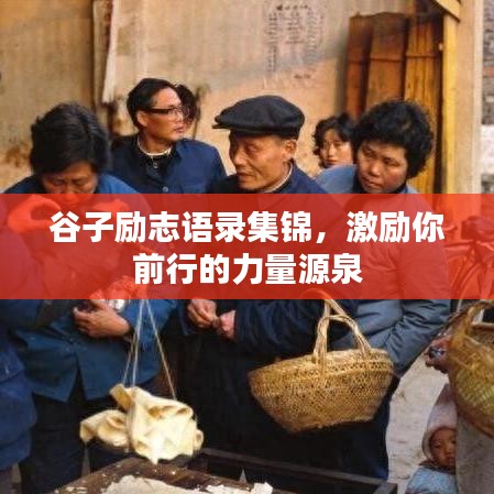 谷子励志语录集锦，激励你前行的力量源泉