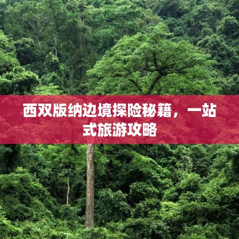 西双版纳边境探险秘籍，一站式旅游攻略