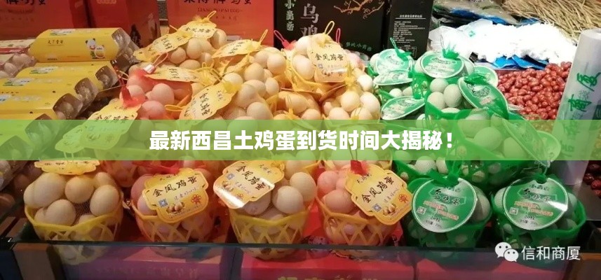 最新西昌土鸡蛋到货时间大揭秘！