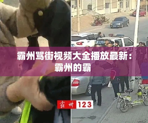霸州骂街视频大全播放最新：霸州的霸 