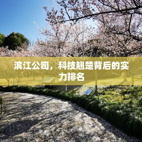 滨江公司，科技翘楚背后的实力排名