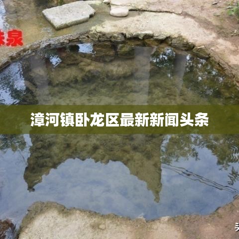 漳河镇卧龙区最新新闻头条