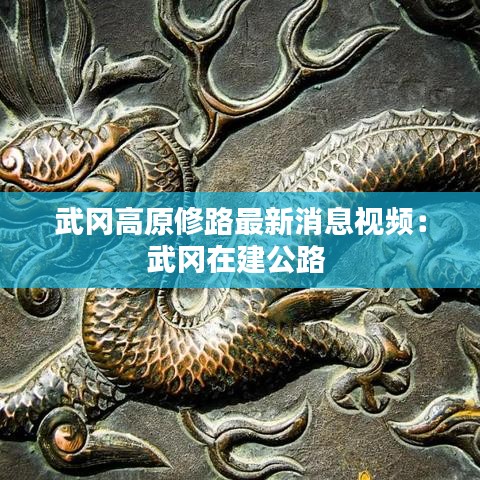 武冈高原修路最新消息视频：武冈在建公路 