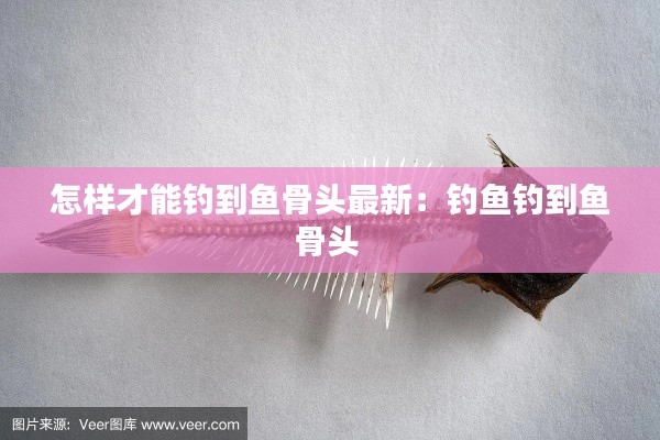怎样才能钓到鱼骨头最新：钓鱼钓到鱼骨头 