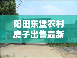阳田东堡农村房子出售最新信息：东田阳村邮编 