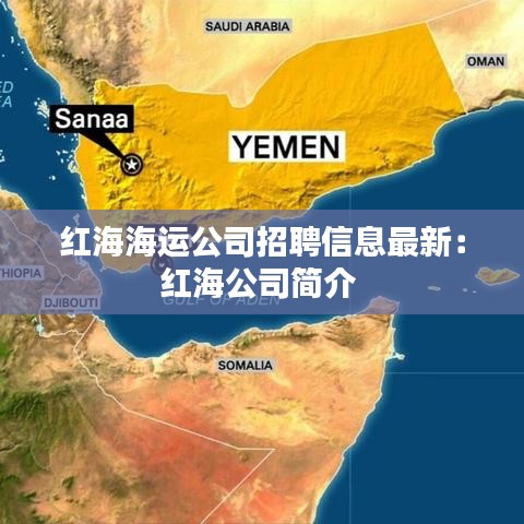红海海运公司招聘信息最新：红海公司简介 