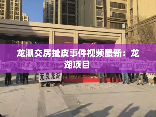 龙湖交房扯皮事件视频最新：龙湖项目 