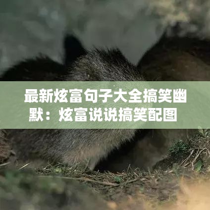 最新炫富句子大全搞笑幽默：炫富说说搞笑配图 