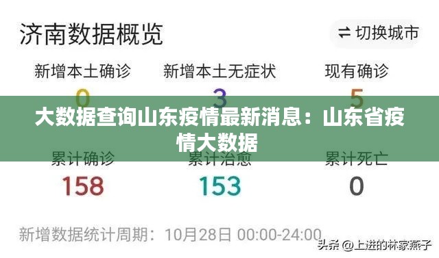 大数据查询山东疫情最新消息：山东省疫情大数据 
