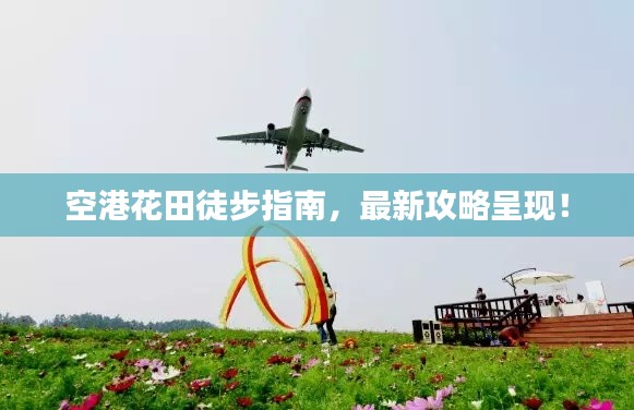 空港花田徒步指南，最新攻略呈现！