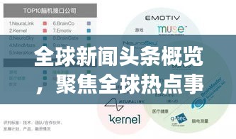 全球新闻头条概览，聚焦全球热点事件，一网打尽！
