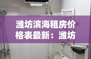 潍坊滨海租房价格表最新：潍坊滨海租房子 